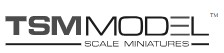 TSM MODEL