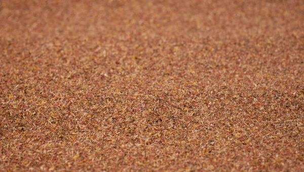 NOC00091 - Tapis de gravier marron - 100x60cm - 1