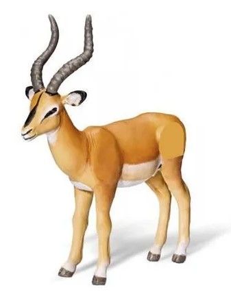 RAV0367 - Antilope TIPTOI - 1