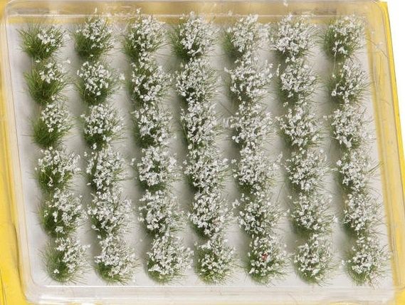 NOC07028 - 42 touffes d'herbes blanches - 1