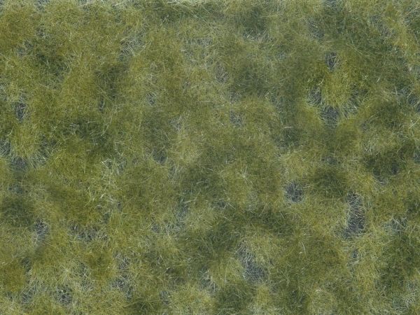 NOC07250 - Foliage végétale, vert moyen 12x18 cm - 1
