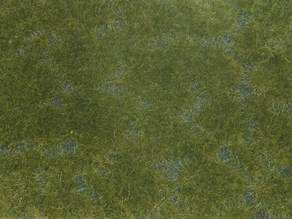 NOC07252 - Foliage végétale, vert foncé 12x18 cm - 1
