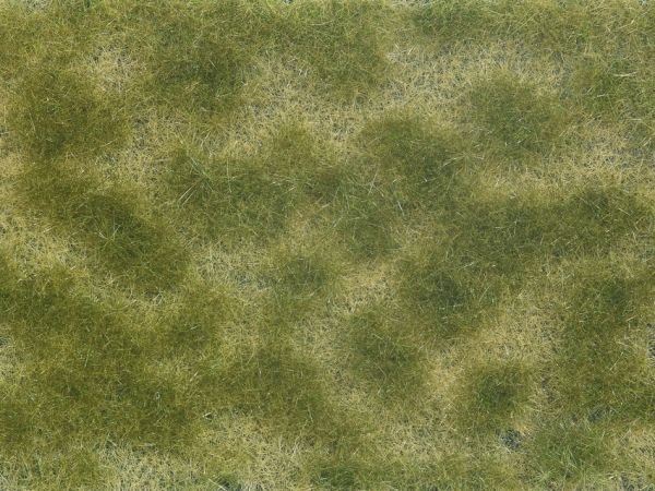 NOC07253 - Foliage végétale vert/beige 12x18 cm - 1