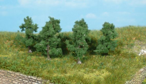 HEK1162 - 6 Pommiers 4 cm - 1