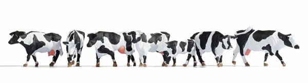 NOC12851 - Pâturage de vaches avec effet sonores - 1