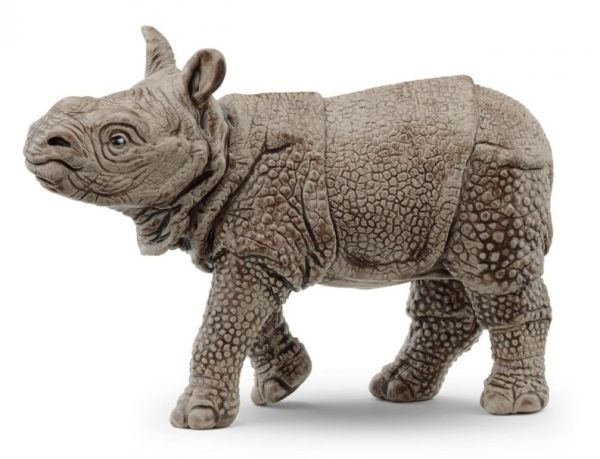 SHL14860 - Bébé Rhinocéros Indien - 1