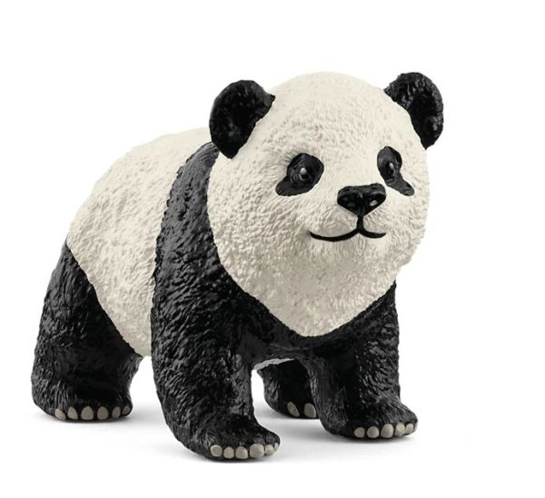 SHL14886 - Jeune Panda Géant - 1