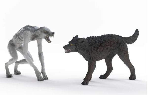 SHL14906 - Loup-garou contre Animagus - 1