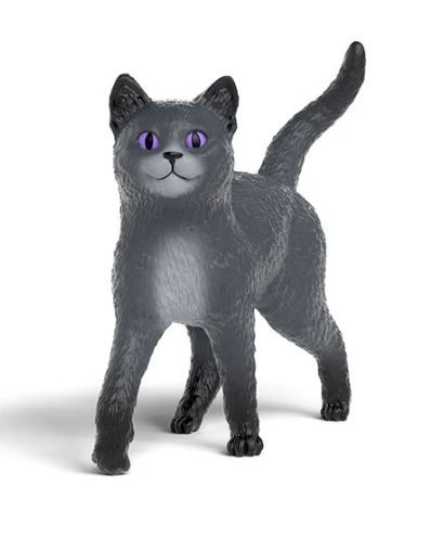 SHL14912 - Karajan le chat  - L'école des animaux magiques - 1