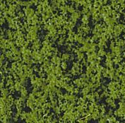 HEK1561 - Feuillage vert moyen - 200 ml - 1