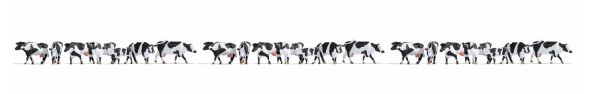 NOC16164 - Coffret XL 21 vaches noires et blanches - 1