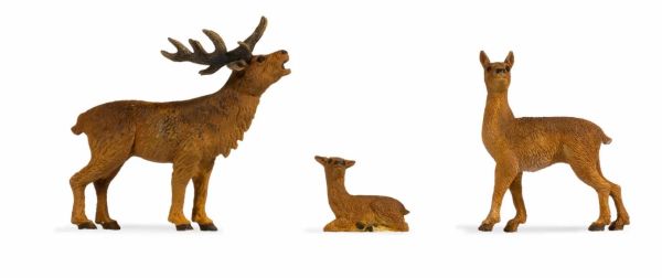 NOC17200 - Cerfs - 1