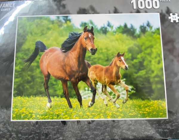 GLOT107-3 - Puzzle 1000 pièces Les chevaux - 1