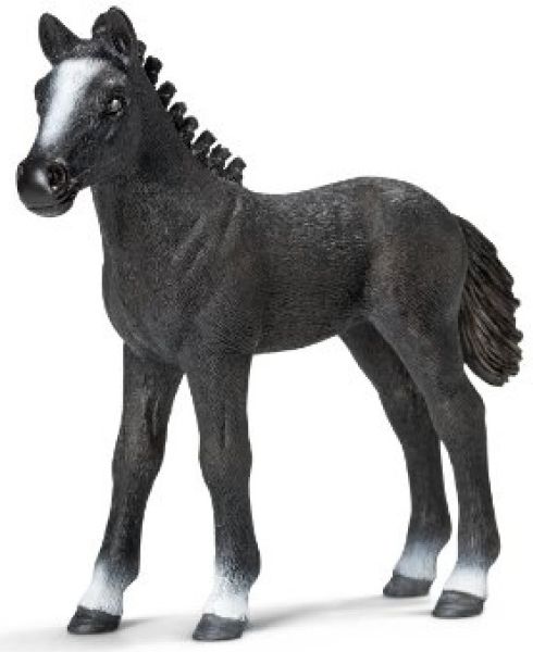 SHL13738 - Poulain Lipizzan - 1