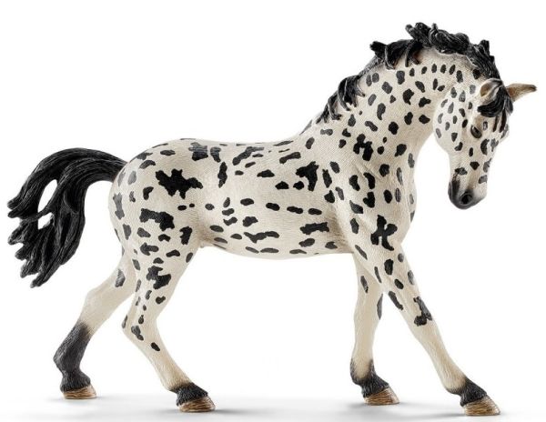 SHL13769 - Jument Knabstrupper - 1