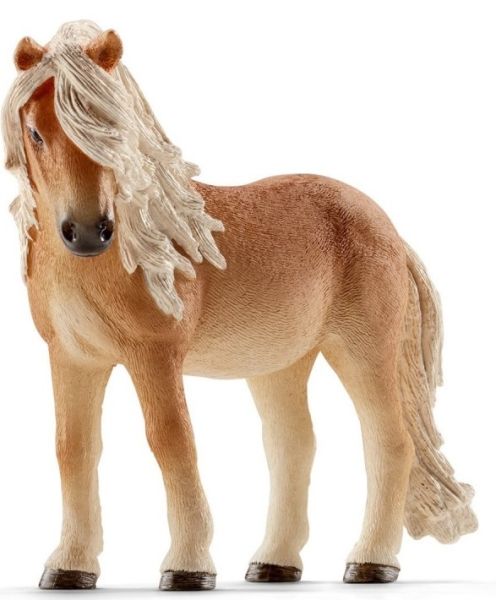 SHL13790 - Jument islandaise - 1