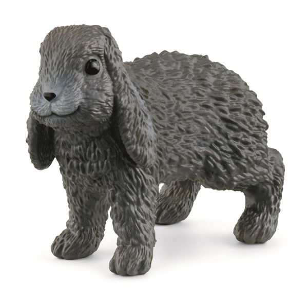 SHL13935 - Lapin bélier - 1