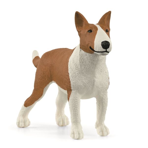 SHL13966 - Bull Terrier - 1