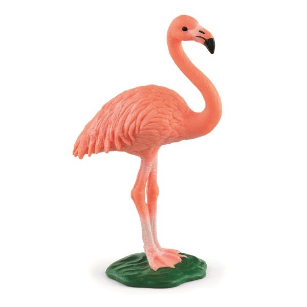 SHL14849 - Flamant rose - 1