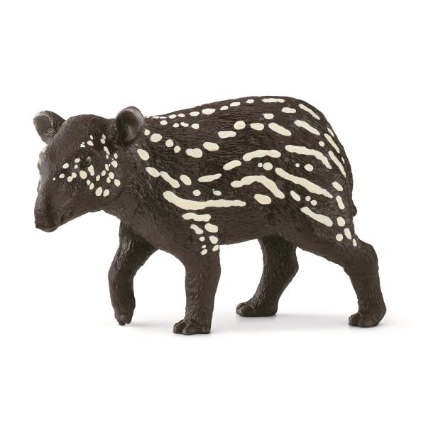 SHL14851 - Jeune tapir - 1