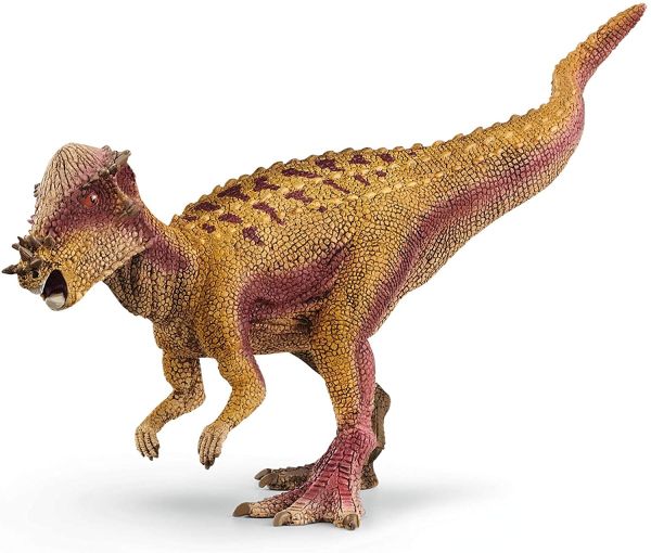 SHL15024 - Pachycéphalosaure - 1