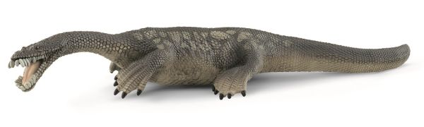 SHL15031 - Nothosaurus - 1