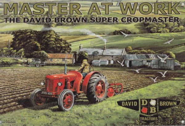 IES24M - Plaque DAVID BROWN 30x20cm - 1