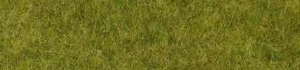 HEK1861 - Tapis d'herbes sauvages terrain boisé 45x17 cm - 1