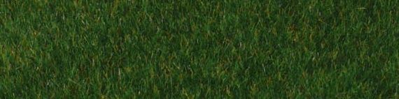 HEK1862 - Tapis d'herbes sauvages vert foncé 45x17 cm - 1