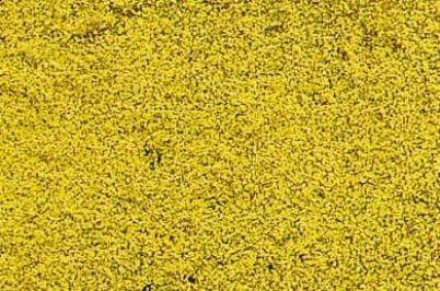 HEK1589 - Tapis de fleurs jaunes 28x14 cm - 1