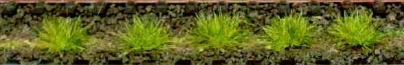 HEK1800 - 100 Touffes d'herbes de printemps 6 mm - 1