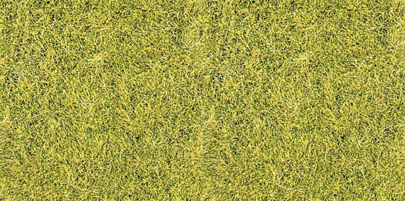 HEK3367 - Sachet 75 g d'herbe sauvage vert de prairie 5-6 mm - 1