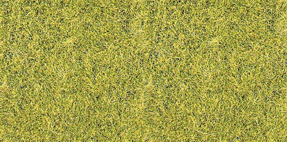 HEK3367 - Sachet 75 g d'herbe sauvage vert de prairie 5-6 mm - 1