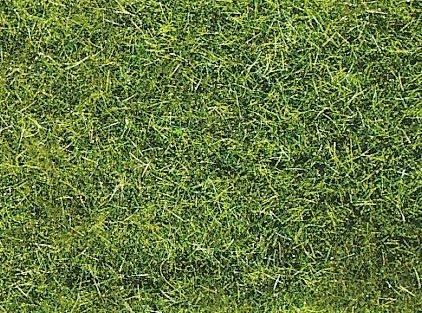 HEK3377 - Sachet 50 g d'herbe XL d'été 10 mm - 1