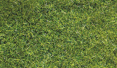 HEK3369 - Sachet 75 g d'herbe sauvage vert foncé 5-6 mm - 1