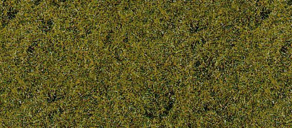 HEK1591 - Tapis d'herbes de prairie vert moyen 28 x 14 cm - 1