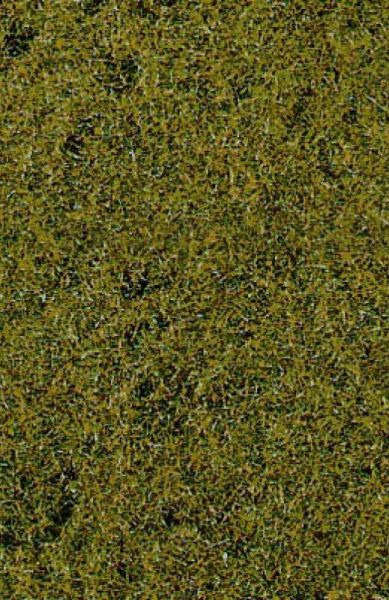 HEK1590 - Tapis d'herbes de prairie vert clair 28 x 14 cm - 1