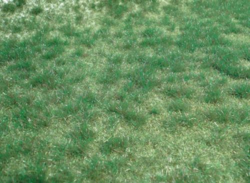 HEK1843 - Tapis d'herbes sauvages vert de terrain marécageux 45 x 17 cm - 1