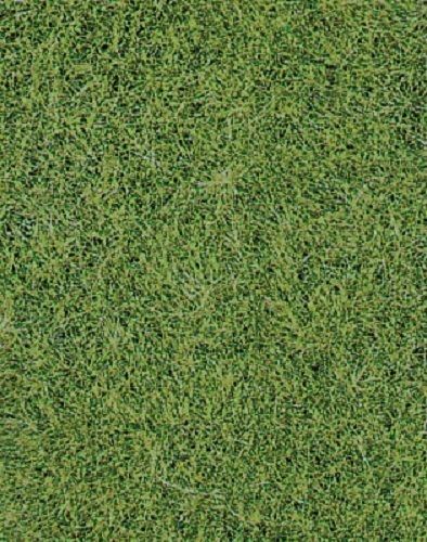 HEK1870 - Tapis d'herbes sauvages vert de prairie 40 x 24 cm - 1