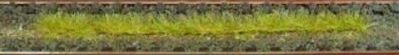 HEK1812 - Lot de 10 bandes d'herbes automne 10 cm - 1