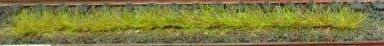 HEK1810 - Lot de 10 bandes d'herbes de printemps 10 cm - 1