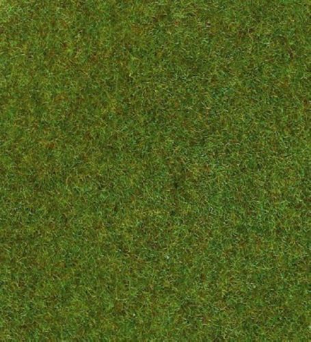 HEK30911 - Tapis vert foncé 100 x 75 cm - 1