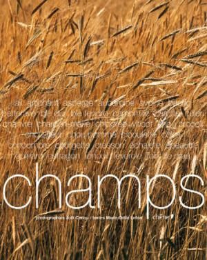 CHAM - Champs - 1