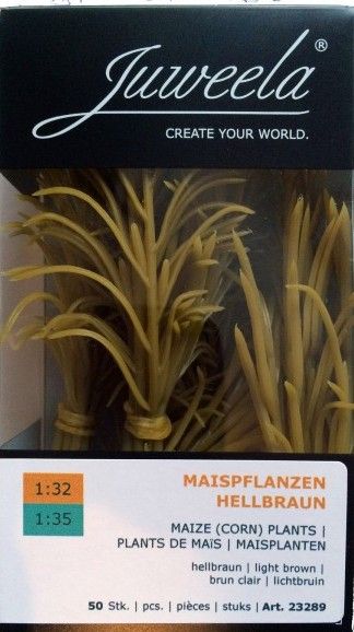 JUW23289 - 50 pieds de maïs grain jaune miniature hauteur 10 cm - 1