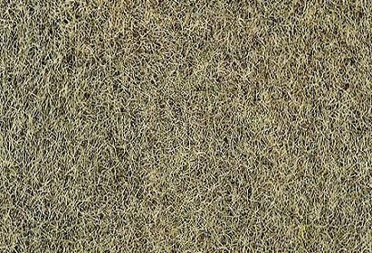 HEK3363 - Sachet 100 g de Flocage d'herbes d'hiver 2-3 mm - 1