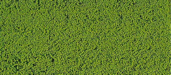 HEK1600 - Mousse de flocage vert clair 14x28 cm - 1