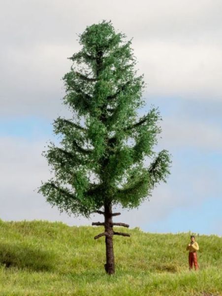 NOC20195 - Epicéa à haute tige 14 cm - 1