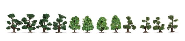 NOC21546 - 12 Arbustes d’ornement 4 à 5 cm - 1