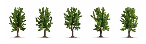 NOC25620 - 5 Arbres feuillus 8 cm - 1