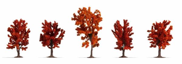 NOC25625 - 8 Arbres d'automne 8-10 cm - 1